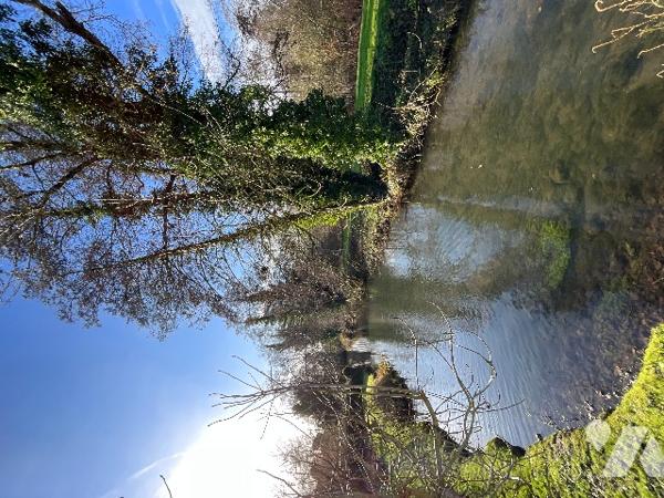 Maison de caractère – 185 m² – Environnement privilégié de l’agglomération chartraine.