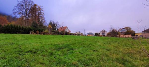 À vendre Terrain - Saint-michel-sur-meurthe 88470
