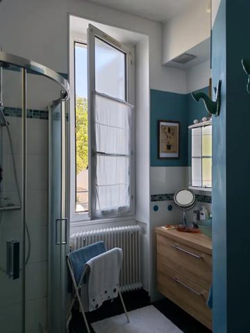 Maison bourgeoise Blois centre - Vue Loire