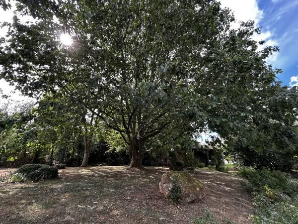 Manoir en pierre, 3 chambres, grenier aménageable, avec Gran