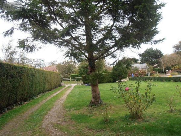 Maison rurale à louer à Criquebeuf-en-Caux en Seine-Maritime (76111), ref : SC/290   
Centre bourg