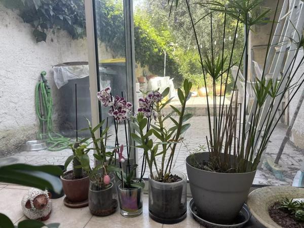 Vente Maison de ville 6 pièces 117 m2 à Albi