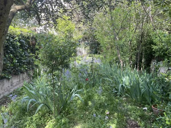 Vente Maison de ville 6 pièces 117 m2 à Albi