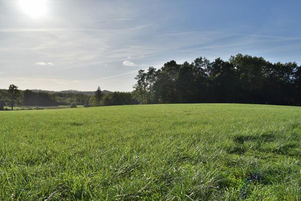 Achat terrain Allassac - 14800 m² - 194 000 €