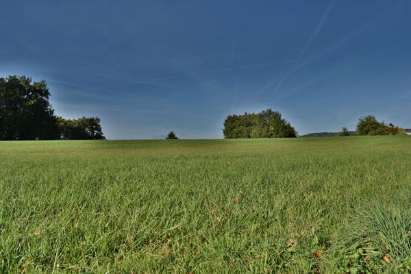 Achat terrain Allassac - 14800 m² - 194 000 €