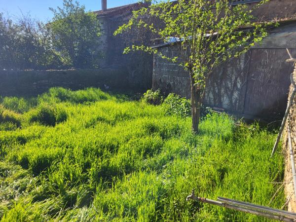Maison à vendre 4 pièces SAINT JOUIN DE MARNES (79) Terrain 318 m²