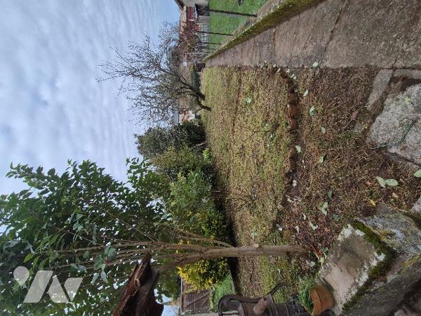 COLOGNE (32430) Maison de village d'environ 130m² avec jardin.