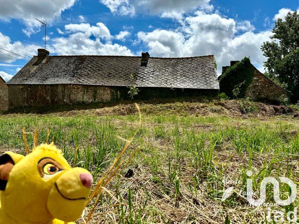 Maison à vendre 1 pièce 26 m² Bruc-sur-Aff