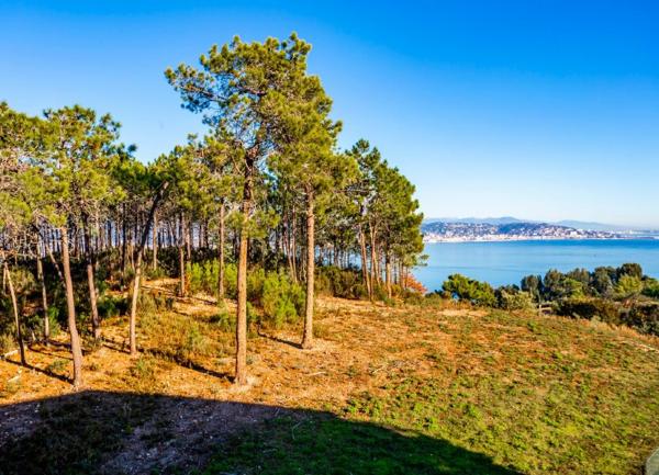 Appartement à louer    2 pièces • 36,40 m2 Théoule-sur-Mer