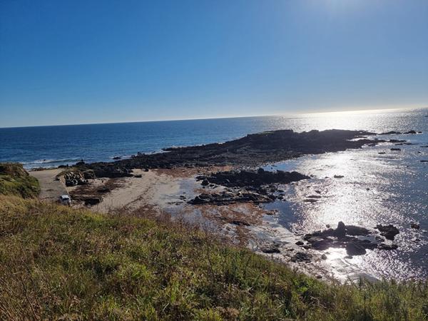 Maison Moelan Sur Mer 3 pièce(s) 70 m2