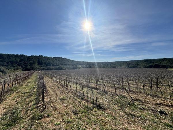 Vente / Terrain agricole