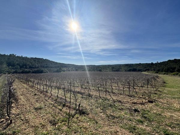Vente / Terrain agricole