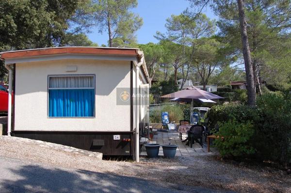 Vente                                                      Terrain
                        
                                         200 m2                     à Fréjus