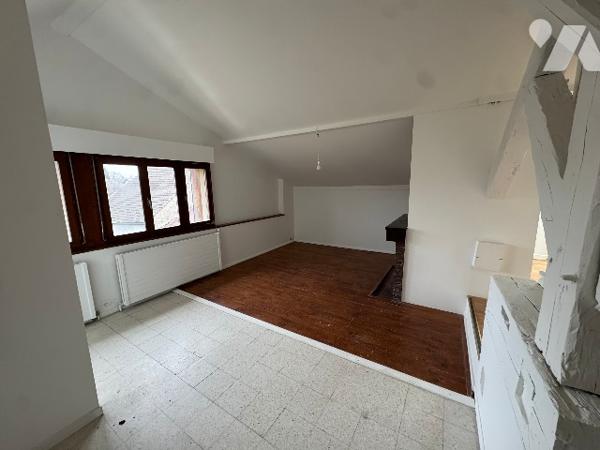 T2 bis de 55m² en surface utile et 35 m² en loi carrez, avec cave et 2 places de parking extérieur.