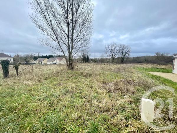 Terrain à vendre  7492 m2 MUR DE SOLOGNE - 41