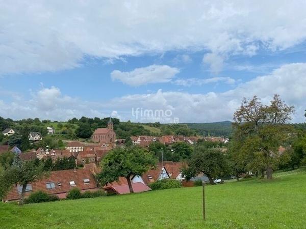 Grande maison pres Woerth