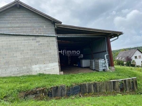 Grande maison pres Woerth