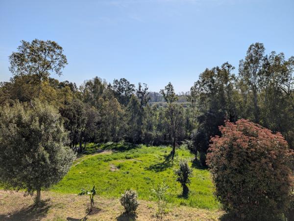 Villa récente 100m² avec piscine et grand jardin