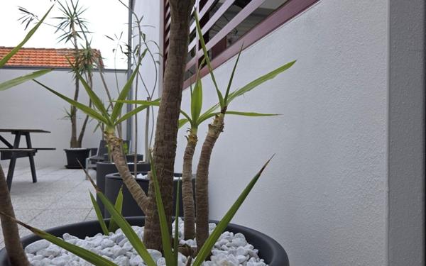 Appartement à vendre    5 pièces • 115 m2 Biarritz