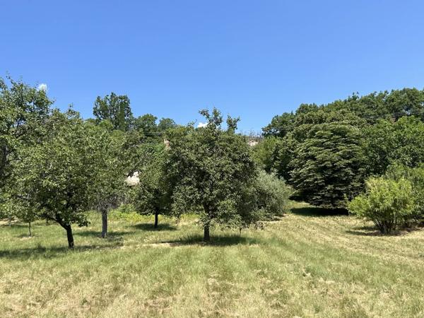 Immobilier Digne-les-Bains (04000) – Maison 335m2 – 680 000 €