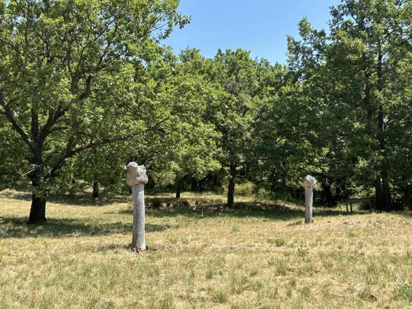 Immobilier Digne-les-Bains (04000) – Maison 335m2 – 680 000 €