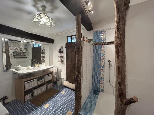 Immobilier Digne-les-Bains (04000) – Maison 335m2 – 680 000 €