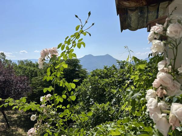 Immobilier Digne-les-Bains (04000) – Maison 335m2 – 680 000 €