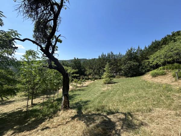 Immobilier Digne-les-Bains (04000) – Maison 335m2 – 680 000 €