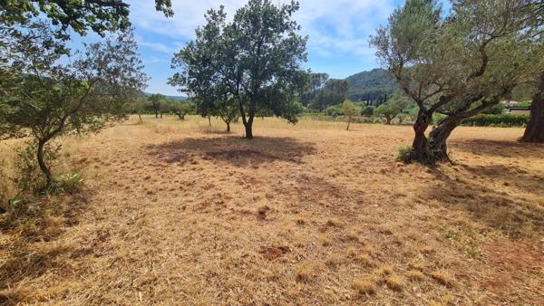 Terrain à vendre  CUERS (83)
