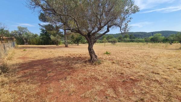 Terrain à vendre  CUERS (83)