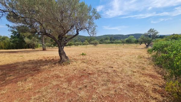 Terrain à vendre  CUERS (83)