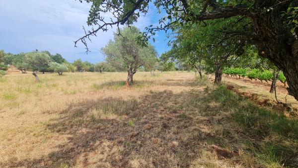 Terrain à vendre  CUERS (83)