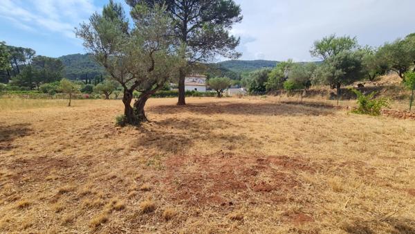 Terrain à vendre  CUERS (83)