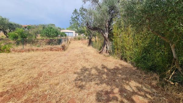 Terrain à vendre  CUERS (83)
