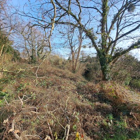 Terrain a batir La Fleche