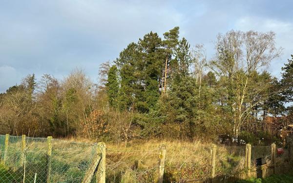 Terrain à vendre    Merlimont