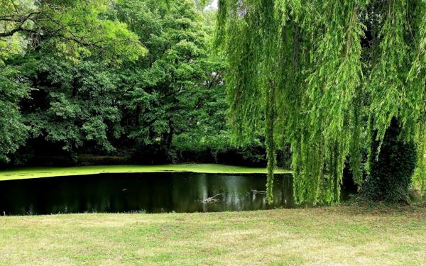 Maison à vendre    4 pièces •  Lailly-en-Val