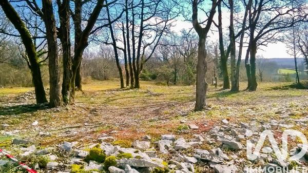 Terrain à vendre 2 211 m² Saint-Pantaléon-de-Larche