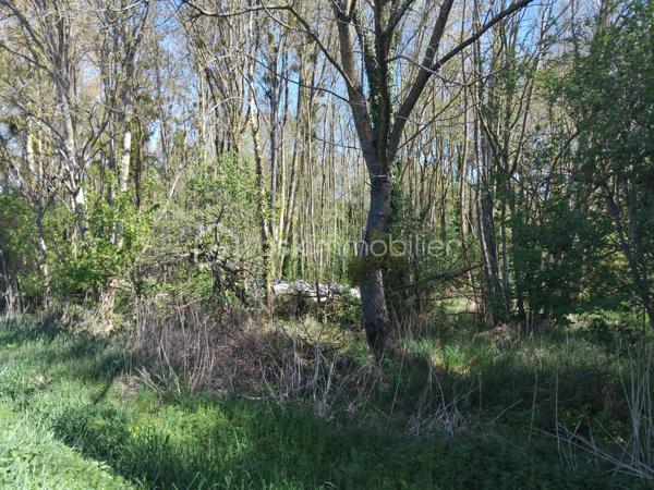 Terrain de loisirs de 1 125 m²