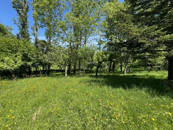 Maison à vendre |  Bazas |  5 pièces | 139 m²