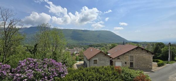Vente / Maison en pierre