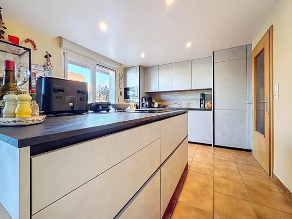 Nouveauté ORIGAMI en exclusivité à OSTWALD