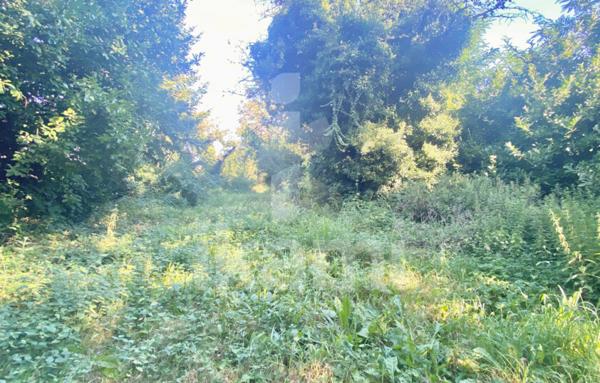 Magnifique terrain de 986m2 en vente à Manthes