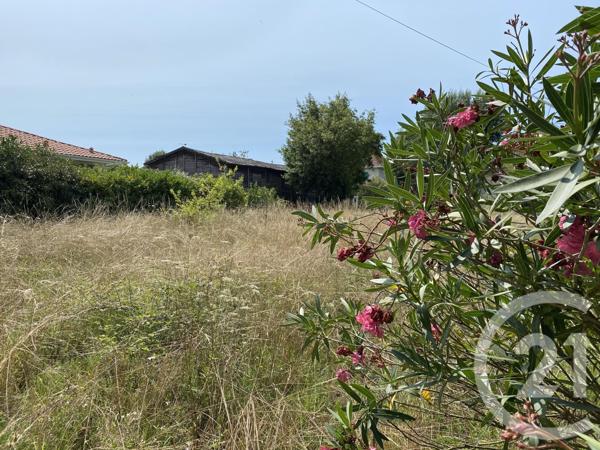 Terrain à vendre  724 m2 LA TESTE DE BUCH - 33