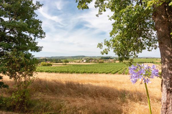 Maison moderne avec piscine et belle vue sur le vignoble