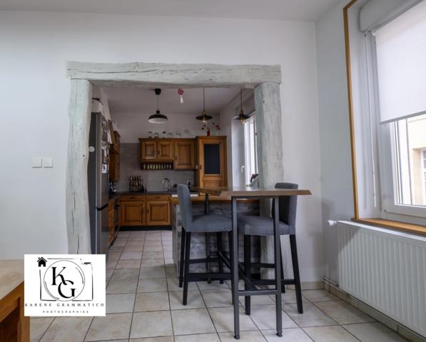 Appartement Duplex Rénové 4 pièces LONGWY (54)