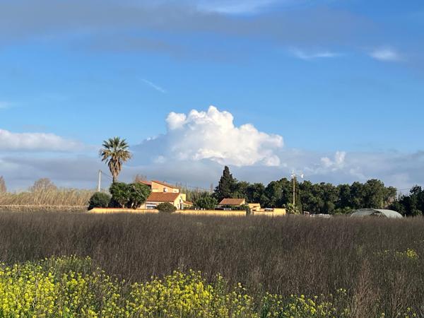 Sainte-Marie de la Mer Environnement d'exception:Mas composé de 3 habitations à 2 pas des plage, calme abslu