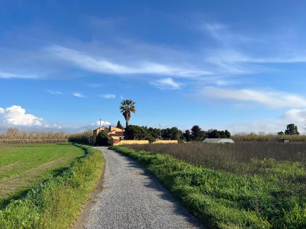 Sainte-Marie de la Mer Environnement d'exception:Mas composé de 3 habitations à 2 pas des plage, calme abslu