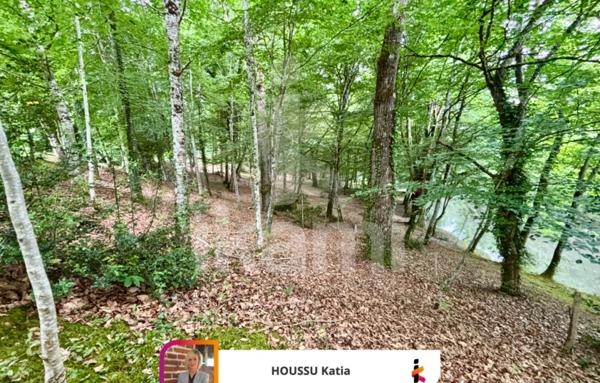 Propriété solognote au bord La Sauldre