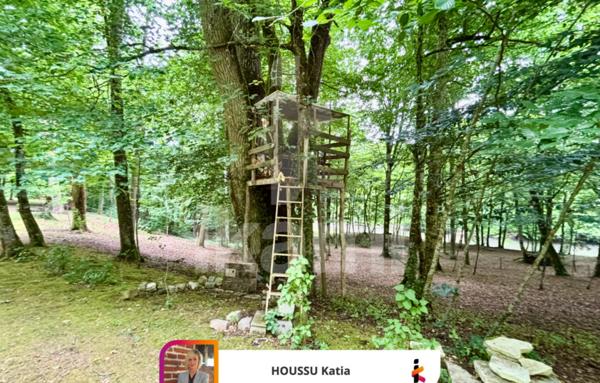 Propriété solognote au bord La Sauldre